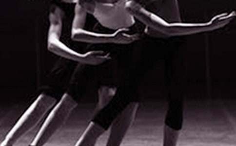 �����ҵ�����ľ�ѡ