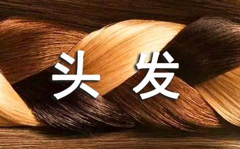 (优选)描写头发的句子