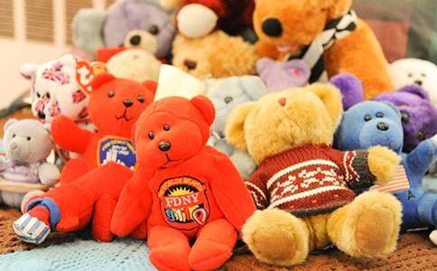 Сѧ����ϲ�����������