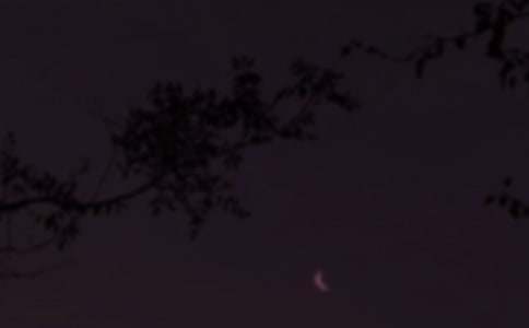 �����ഺ��־������¼46��