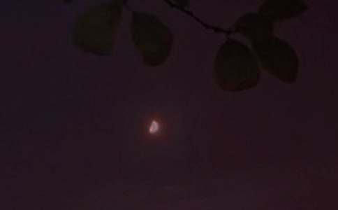 ˯ǰ�����ľ���