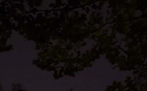 2022���ഺ��־������¼����80��