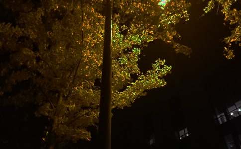 2021�곣���ഺ��־������¼����Ȧ����76��