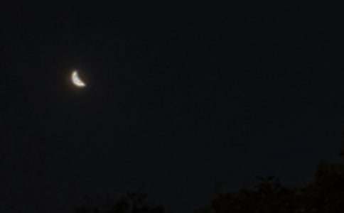 ������ܰ���Ӹ�Ů����