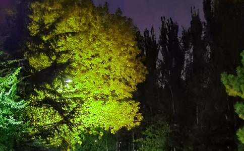 �����ഺ��־������¼����73��