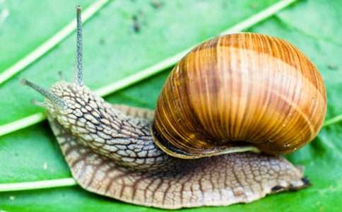 ׽��ţ������