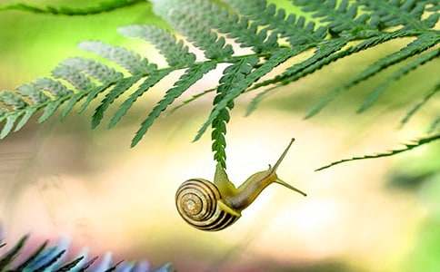 ��־���£�ʱ�ⱳ�����ţ