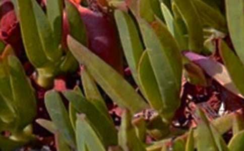 ������־�簲ǩ������ѡ30�䣩