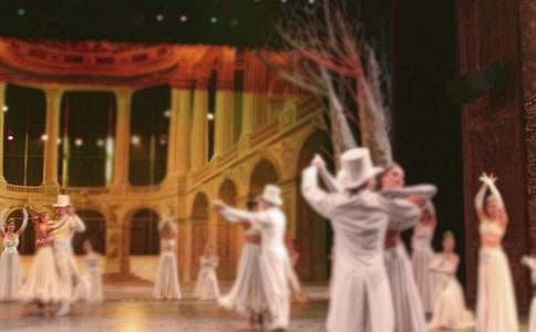 �赸������ܽ�