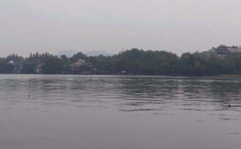 写杭州西湖的五年级作文450字(通用41篇)