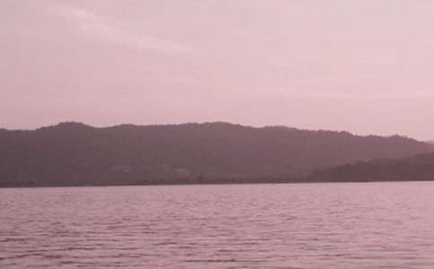 �δʾ�ѡ����ɣ�ӡ����۶��������á�����