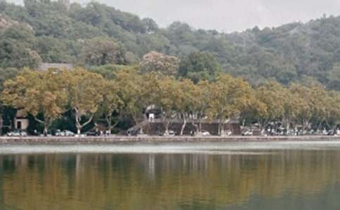 ������������������