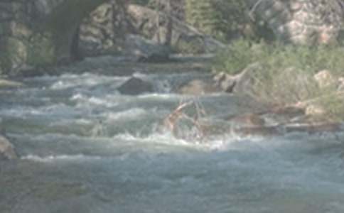 Сѧ���꼶��СϪ���ĸ衷��ѧ���