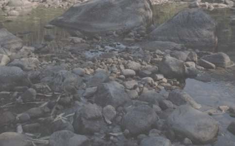 ��СϪ���ĸ衷�̰������꼶�ϲᣩ