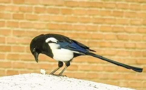 ���̰��һ�ᡶ����ϲȵ����ѧ���