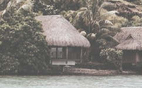 �ļ�ʳƷ��ȫ�ڰ屨�������