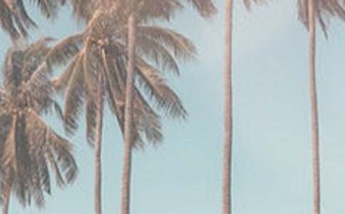 �ļ���԰����ֳ���