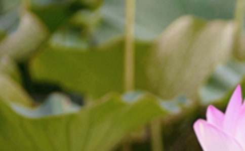 ������ҵ�ľ���[����]