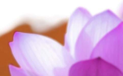 ���������������