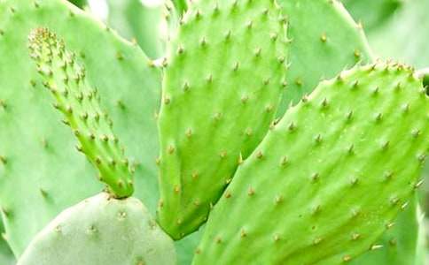 ������д�����Ƶ�����