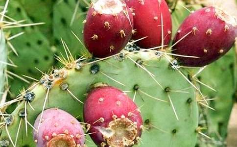 �����Ƶ���ʾ���꼶��ѡ����