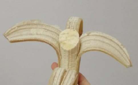 ����ѡ����д�㽶���꼶����24ƪ