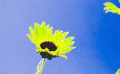 ��д���տ���̫�����ĺþ�ö�