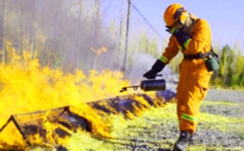 消防演习工作总结