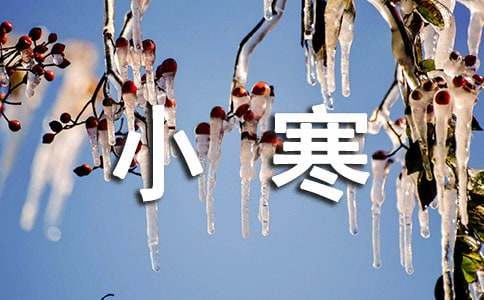 ��ʮ�Ľ���С���ľ���