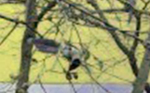 �˽��¿α���ϣ���С���ǣţ������ѧ����뷴˼