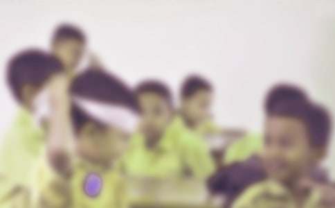 �����š�Сѧ�����ռ�ģ������ƪ