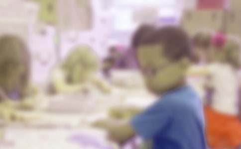 小学生的日记模板集合5篇