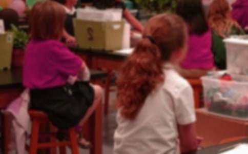 ����Сѧ�������ռǷ��ĺϼ���ƪ