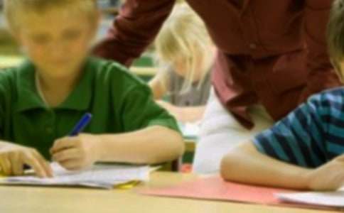 2015���ڸ���Сѧ��ʵ����ܽ�