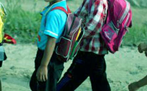 ����Ʒ��Сѧ�����ռ�ģ�弯��9ƪ