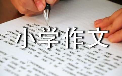 小学作文给市长的一封信200字