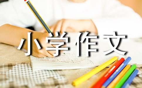 我的心爱之物800字_五年级作文_小学作文