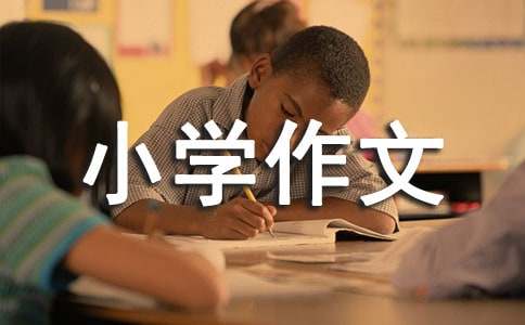 家访_800字800字_五年级作文_小学作文