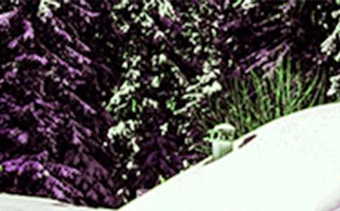 �ս̰�����һ�꼶�ϲᡶСѩ�������ʿν�ѧ���