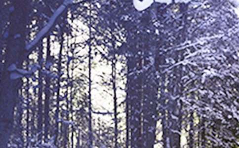 2015��Сѩ�����Ǽ��¼���