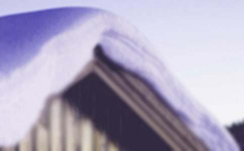 �׸���ʦ���ֳ���-Сѩ����