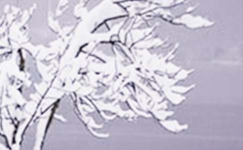 ����Сѩ������ʫ�ʾ���