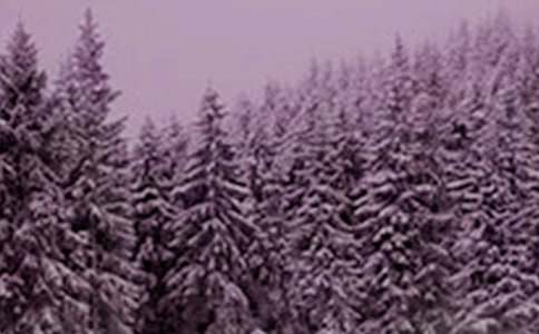 Сѩ����ӽ��ʫ��