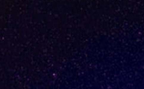 �ǿ��µ������������15ƪ