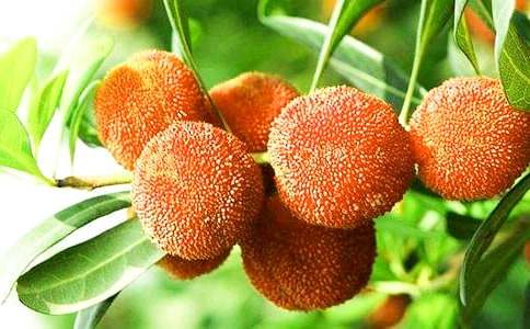 ��д��÷������