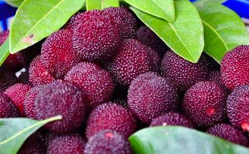 �˽̰����꼶�²ᡶ�Ұ��������÷������ԭ��