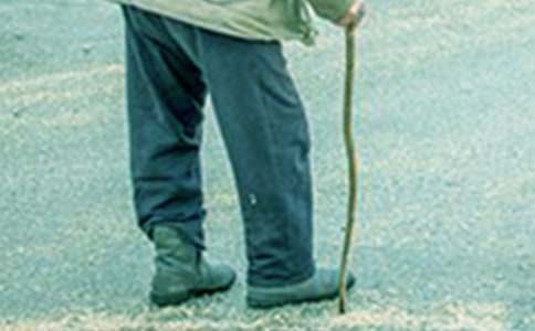 ��үү��һ�������꼶����