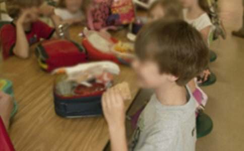 2017�׶�԰С�������ܽ�