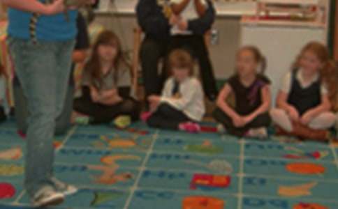 �׶�԰�������������ƻ������ϣ�