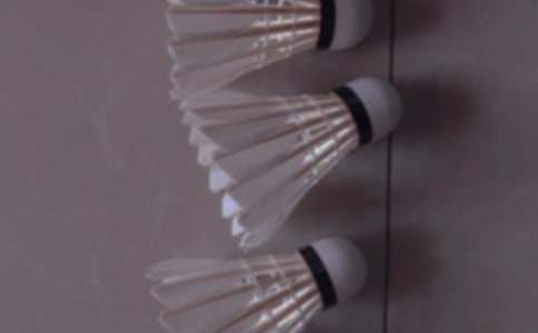 ��ë�������߻���������ѡ5ƪ��